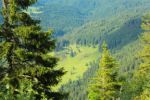 2014-07-05_Laengental-N-Hochweg (734). JPG